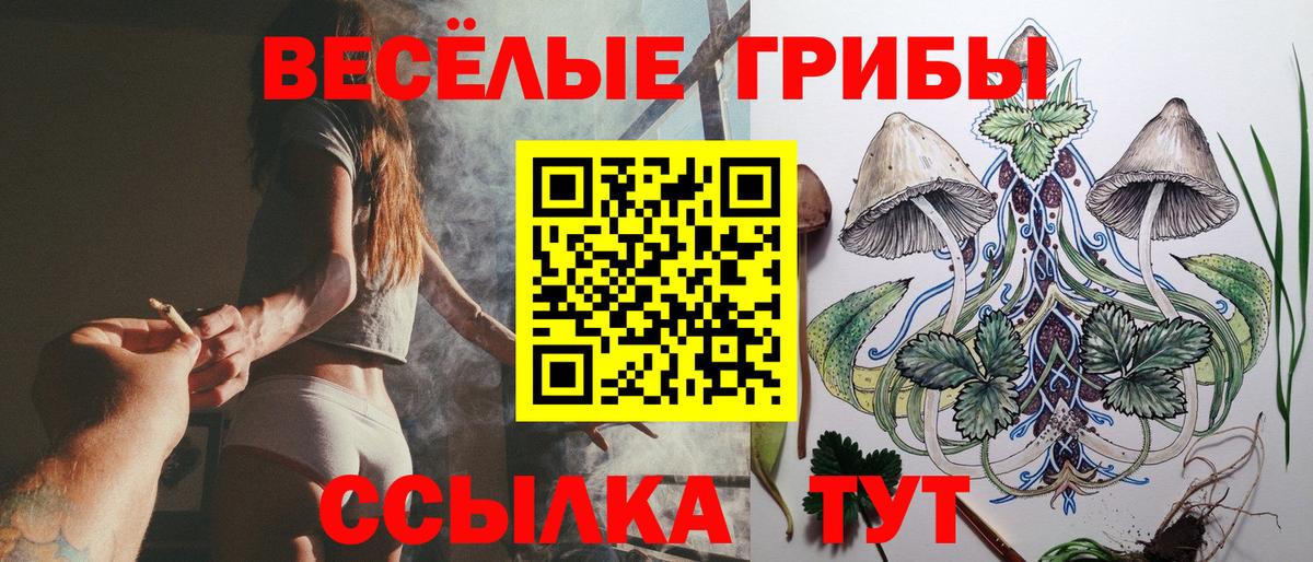 Псилоцибиновые грибы GOLDEN TEACHER  Вход с VPN  Уссурийск  Галлюциногенные грибы Cubensis 