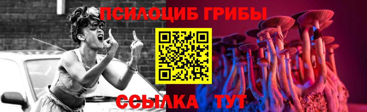 Псилоцибиновые грибы Psilocybe Уссурийск